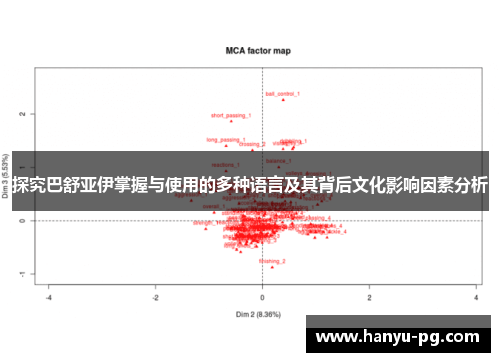 探究巴舒亚伊掌握与使用的多种语言及其背后文化影响因素分析 探究巴舒亚伊掌握与使用的多种语言及其背后文化影响因素分析