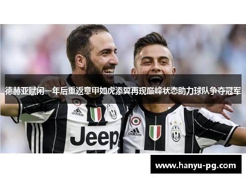 德赫亚赋闲一年后重返意甲如虎添翼再现巅峰状态助力球队争夺冠军